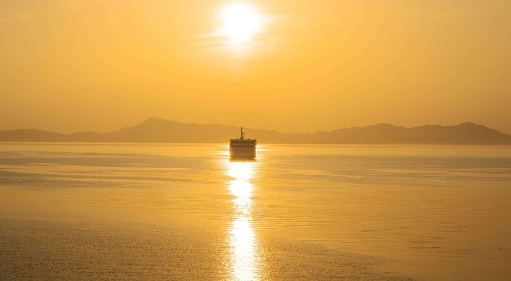 shutterstock_2653545601-min